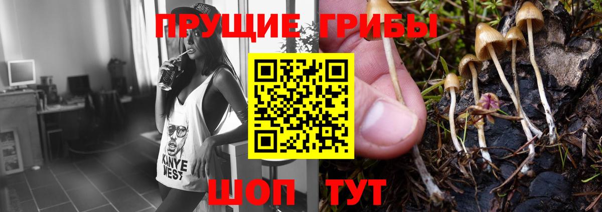 Узловая  Псилоцибиновые грибы ЛСД  Вход с VPN 